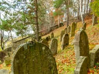 Muszyna